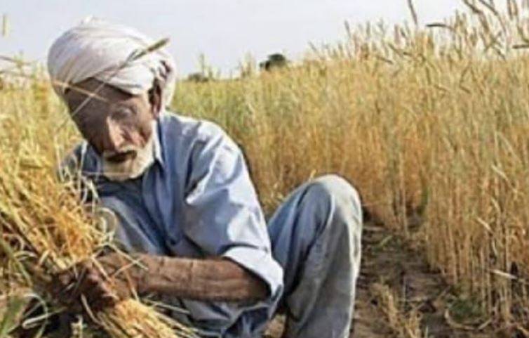 حکومت سندھ کا کسانوں کے لیے اہم اعلان، بینظیر ہاری کارڈز کی تقسیم اور ڈرپ ایریگیشن کو سولر پر منتقل کرنے کا منصوبہ