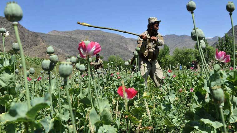  بلوچستان میں منشیات کیخلاف فیصلہ کن مہم کا آغاز