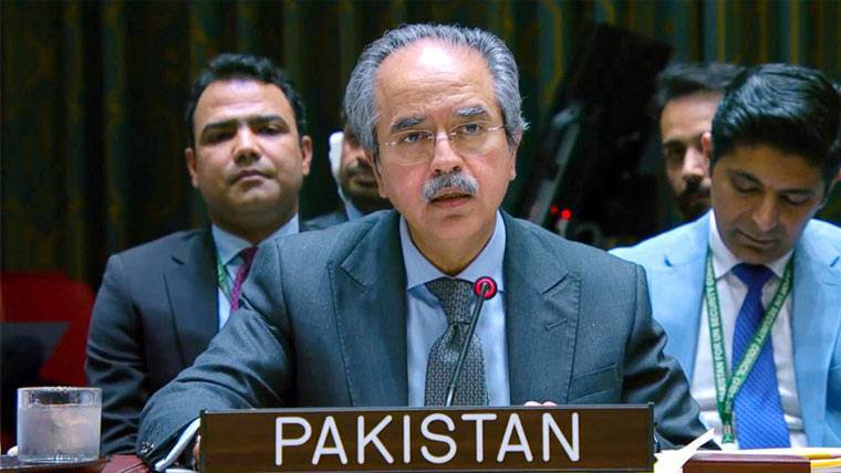 فلسطین اور کشمیر کے حل کے بغیر دنیا میں امن ممکن نہیں، اقوام متحدہ کردار ادا کرے: پاکستان