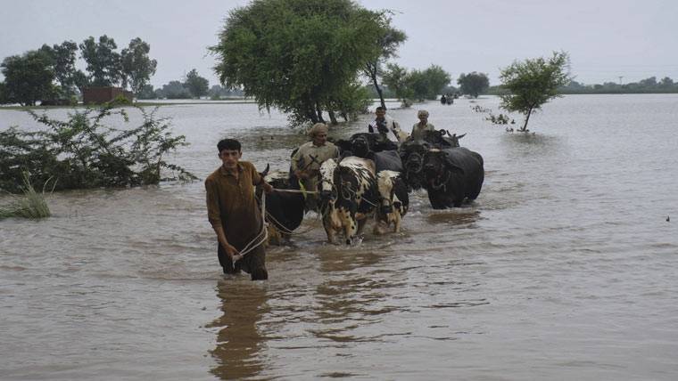 پاکستان کی معیشت پر سیلاب کے منفی اثرات، ترقی کی شرح کم ہونے کا خدشہ ، عالمی بینک کی رپورٹ