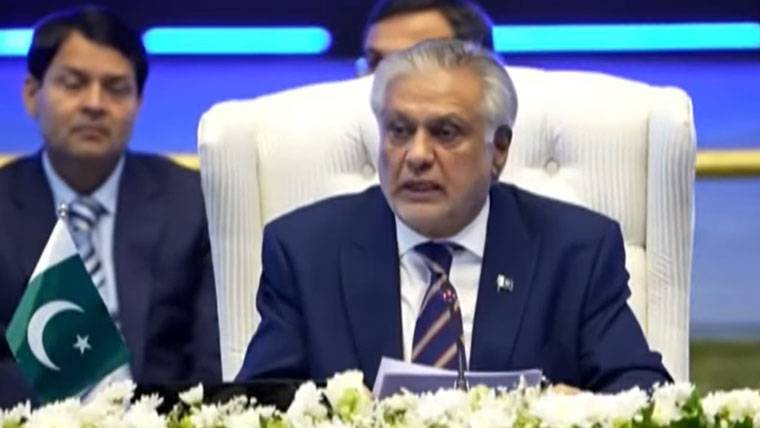 پاکستان جنوبی ایشیا اور وسطی ایشیا کے درمیان رابطے کا اہم مرکز بنے گا، اسحاق ڈار