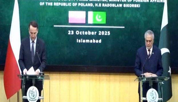 پاکستان اور پولینڈ کے درمیان دوطرفہ تعلقات کے فروغ، توانائی، ٹرانسپورٹ اور تعلیمی شعبوں میں تعاون پر اہم پیش رفت 
