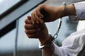 ڈکی بھائی کیس : گرفتار نیشنل سائبر کرائم ایجنسی کے افسروں کا جسمانی ریمانڈ منظور