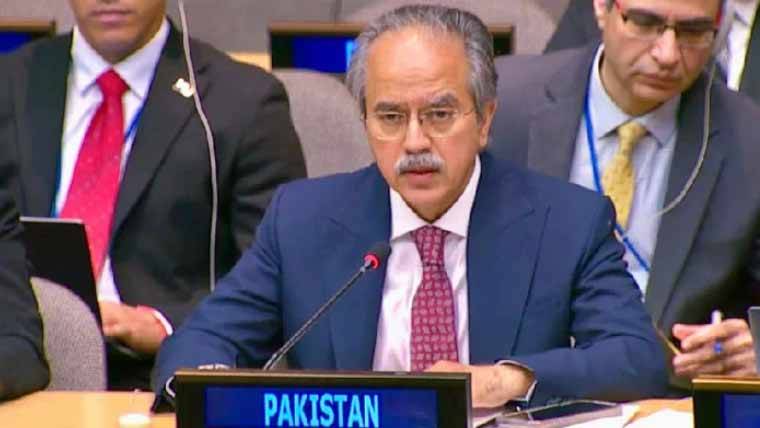 اقوام متحدہ ، پاکستان نے ایک بار پھر آزاد اور خودمختار فلسطینی ریاست کے قیام کا مطالبہ کردیا