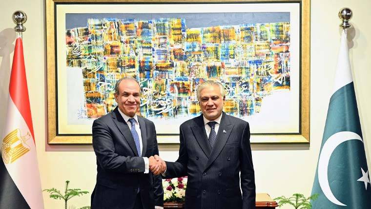پاکستان اور مصر کے وزرائے خارجہ کی ملاقات: تعلقات کو مزید مستحکم بنانے کا عزم