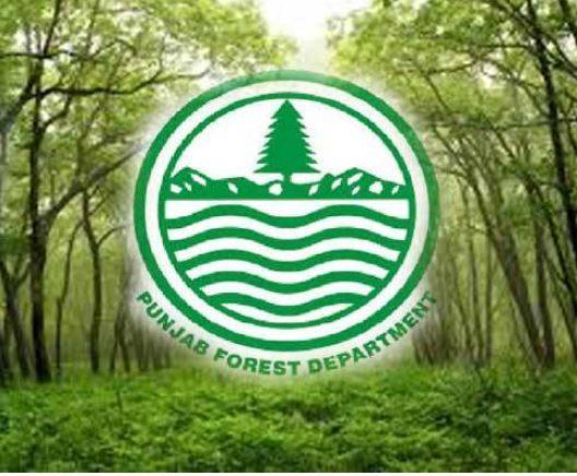 پنجاب میں جنگلات کے تحفظ کے لیے فاریسٹ ترمیمی ایکٹ 2025 نافذ، افسران کو اضافی اختیارات حاصل