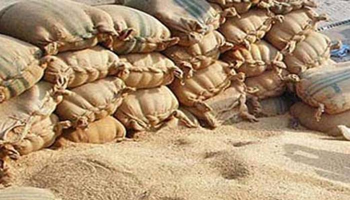 حکومت  کاآئی ایم ایف کی شرط پر گندم کی خریداری کے عمل سے باہر نکلنے کا فیصلہ