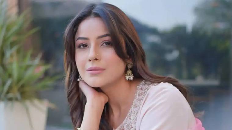 شہناز گل مشہور پاکستانی ڈرامے کے او ایس ٹی کی مداح نکلیں