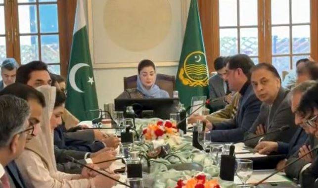 وزیراعلیٰ پنجاب کی جانب سے ترقیاتی منصوبوں کی پیش رفت مانیٹر کرنے کے لیے لائیو ڈیش بورڈ کے قیام کی ہدایت 