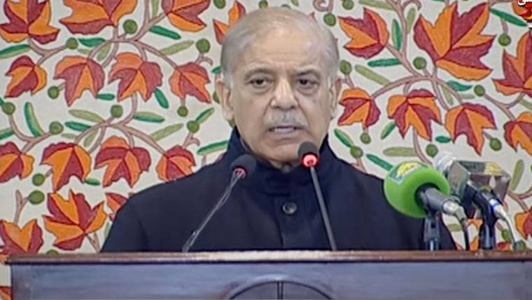  پاکستان کشمیری عوام کے حقوق کے لیے ہر سطح پر آواز اٹھاتا رہے گا، وزیراعظم شہباز شریف 