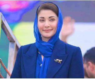 بسنت کے موقع پر ڈور اور پتنگیں مہنگی فروخت نہ کریں وزیر اعلیٰ پنجاب کی اپیل