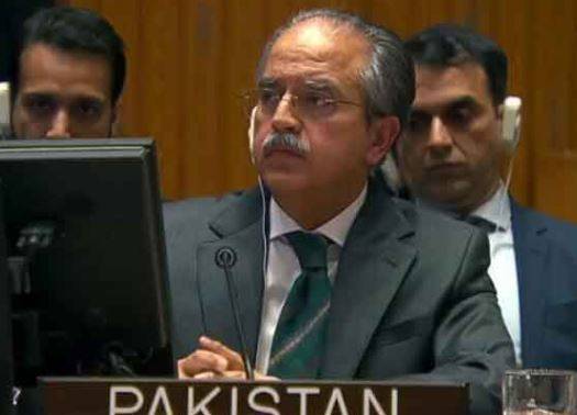  اسرائیل عالمی قوانین کی دھجیاں اڑانا بند کرے: پاکستان کا اقوامِ متحدہ میں شدید احتجاج