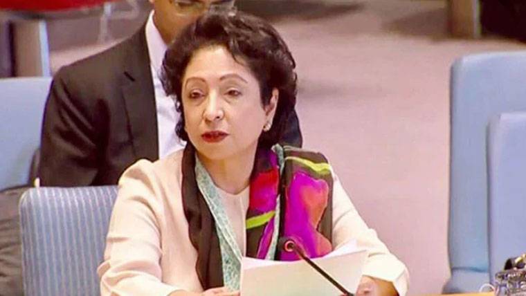 ٹرمپ پر اعتماد نہیں، وہ مذاکرات کے دوران بھی جنگ کر دیتے ہیں، ملیحہ لودھی