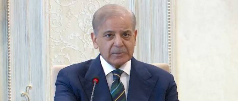 بجلی کے شعبے کا مستقبل صرف شمسی اور قابلِ تجدید توانائی سے وابستہ ہے، وزیراعظم شہباز شریف