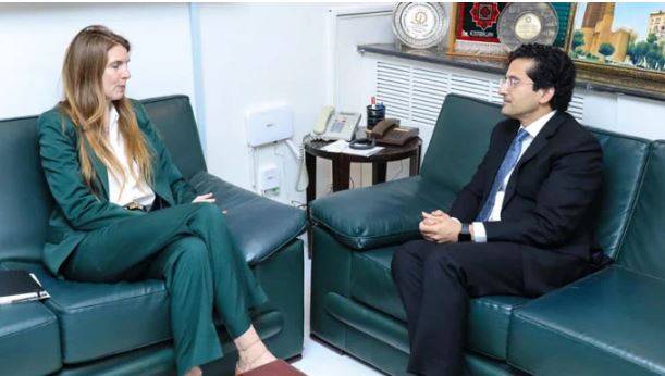 جین میریٹ اور علی پرویز ملک کی ملاقات،برطانوی ہائی کمشنر کی امن کے لئے پاکستان کےکردار کی تعریف
