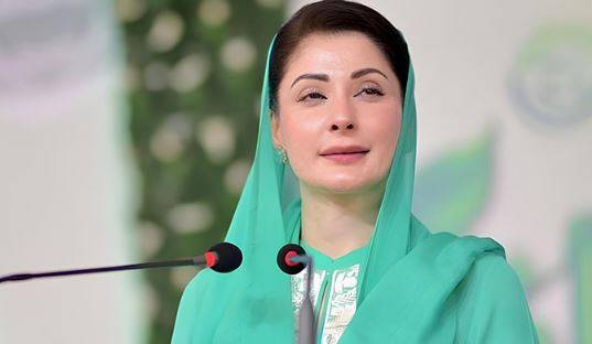 پنجاب کے 17 اضلاع میں مفت پبلک ٹرانسپورٹ شروع کرنے کا فیصلہ