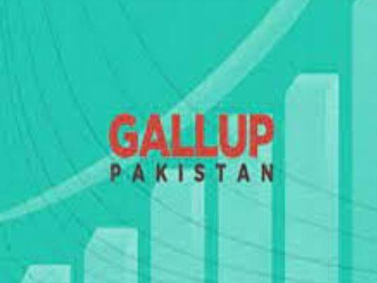 پاکستانی عوام کی اکثریت امن کی خواہاں: 93 فیصد عوام جنگ بندی کی کوششوں کے حامی، گیلپ سروے جاری