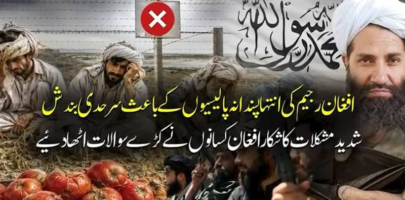 پاک افغان سرحد بند: افغان کسان معاشی بحران کا شکار، فصلیں تباہ
