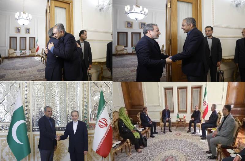 وزیر داخلہ محسن نقوی کی تہران میں ایرانی وزیر خارجہ عباس عراقچی سے ملاقات، پاک ایران تعلقات مزید مضبوط بنانے پر اتفاق