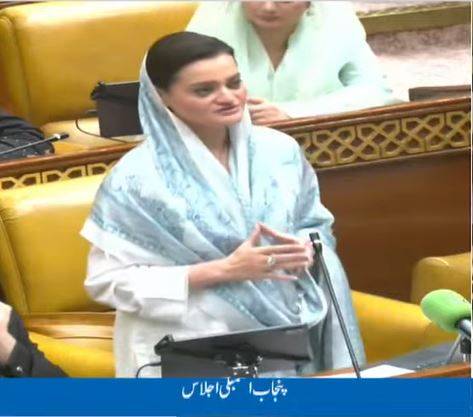 ترقی، صحت اور ماحولیات پنجاب حکومت کی ترجیحات ہیں: مریم اورنگزیب