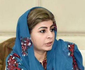 اقوامِ متحدہ بی ایل اے کو عالمی دہشت گرد تنظیم قرار دے، سینیٹر ثمینہ ممتاز زہری