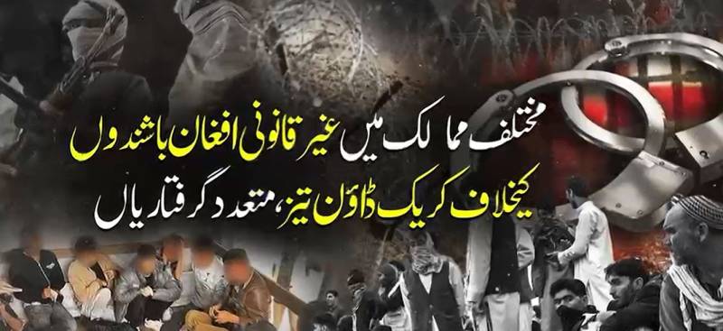 غیرقانونی تارکین وطن کے خلاف کارروائیاں تیز، متعدد افغان شہری مختلف ممالک میں گرفتار
