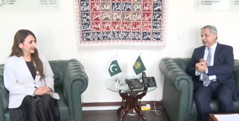 اعظم نذیر تارڑ سے امریکی ناظم الامور کی ملاقات، پاک امریکا تعلقات اور باہمی دلچسپی کے امور پر تبادلہ خیال