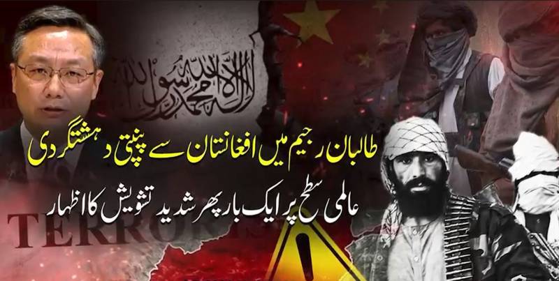  افغانستان میں دہشتگرد نیٹ ورکس کی موجودگی پر عالمی تشویش، اقوام متحدہ میں چینی مندوب کا اظہارِ خدشات