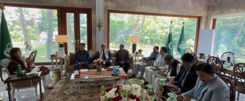 وزیراعلیٰ پنجاب سے وہاڑی کے ارکان اسمبلی کی ملاقات، ترقیاتی منصوبوں پر گفتگو
