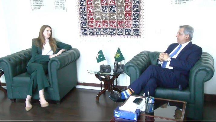 اعظم نذیر تارڑ سے برطانوی ہائی کمشنر کی ملاقات، طلبا کے ویزوں میں تاخیر پر گفتگو