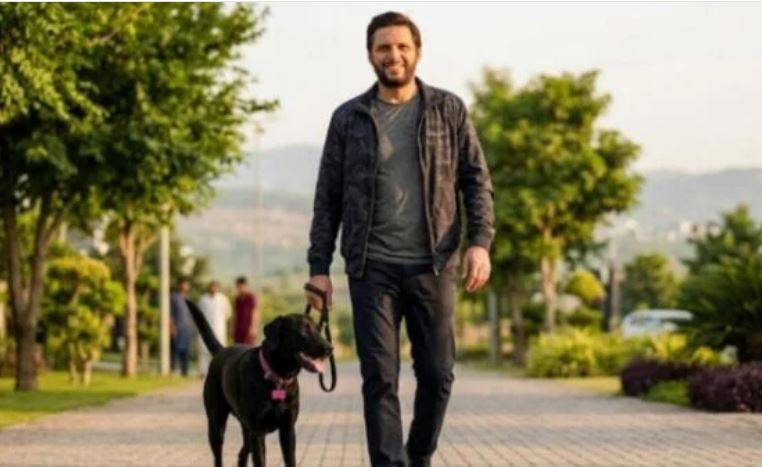 شاہد آفریدی کا گمشدہ پالتو کتا میکس بحفاظت مل گیا