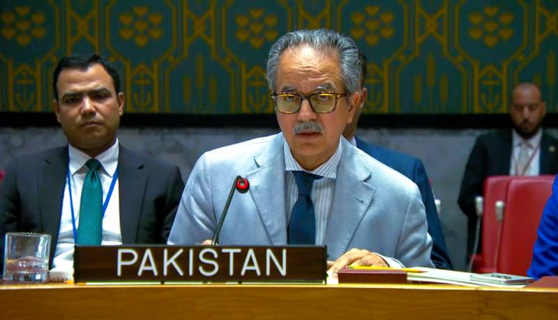 پاکستان کا سلامتی کونسل پر تنازعات سے جنم لینے والے غذائی بحرانوں کی بنیادی وجوہات سے نمٹنے پر زور