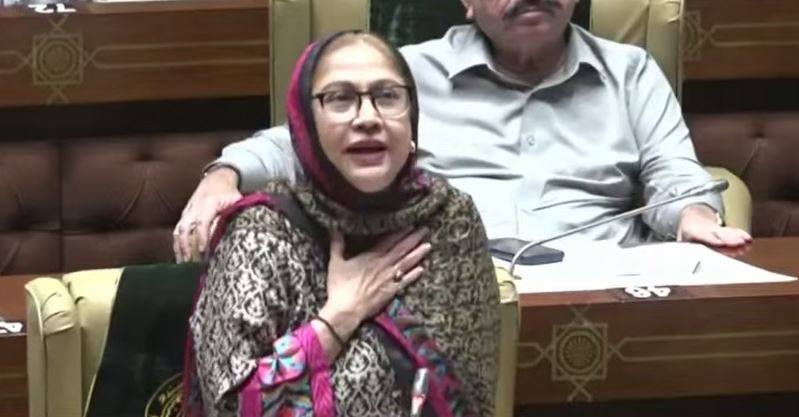 سندھ نہیں بٹے گا، ہم اپنی دھرتی کے لیے کھڑے ہیں : فریال تالپور