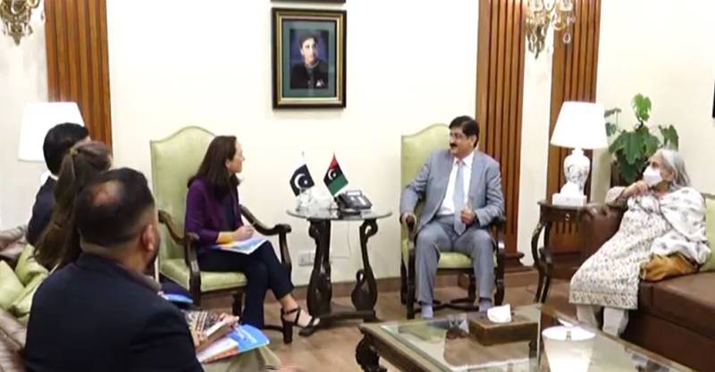 مراد علی شاہ سے عالمی ادارہ خوراک کی نمائندہ کی ملاقات، سکول کھانا پروگرام کا جائزہ