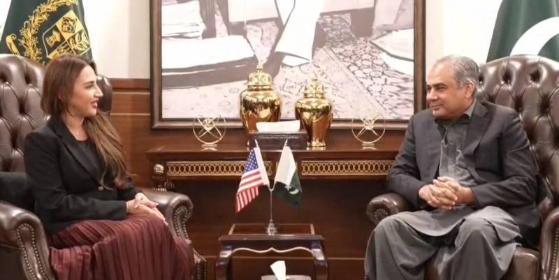وفاقی وزیر داخلہ محسن نقوی اور امریکی سفیر کی ملاقات، دوطرفہ تعاون بڑھانے پر اتفاق