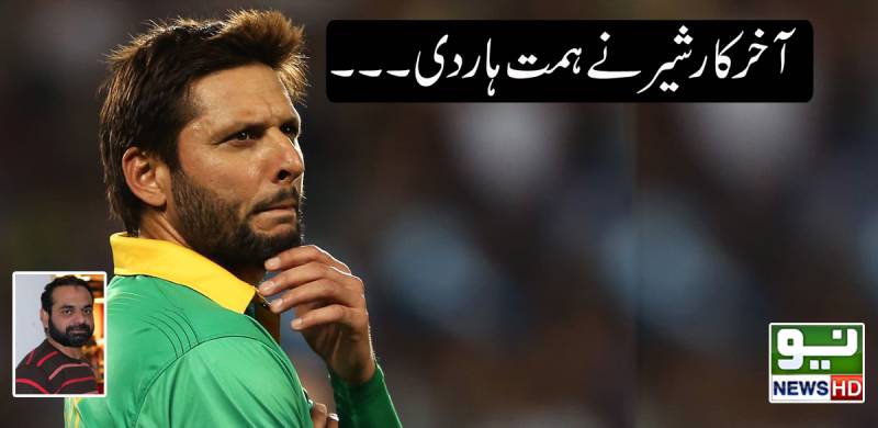 بلآخر شیر نے ہمت ہاردی ۔۔۔
