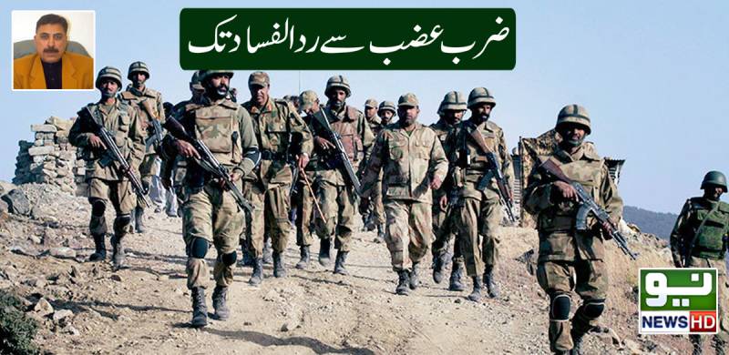 ضرب عضب سے رد الفساد تک 