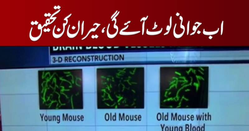 اب بڑھاپے سے جوانی صرف فلمی سینز تک محدود نہیں ، جوانی پھر سے آسکتی ہے