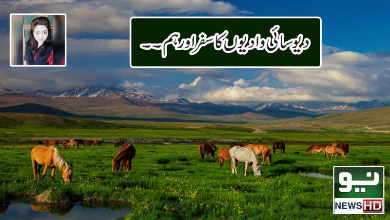 کاش سے کاوش اور دیو سائی کی وادیوں تک  کا سفر