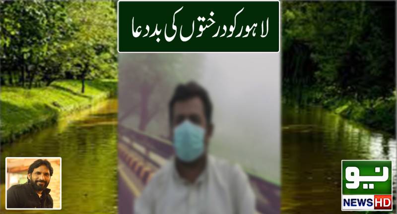 درختوں کی بد دعا ۔۔۔ درخت باتیں کرتے ہیں 