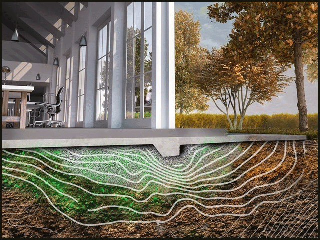 عمارت کی مضبوط اور پائیدار بنیادوں کےلئے بیکٹیریا سے بھرپور ’’ذہین سیمنٹ‘‘ تیار