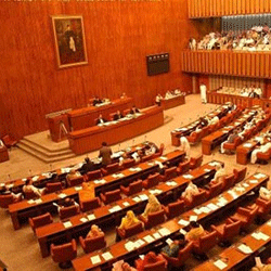 سینیٹ میں 28 ویں ترمیم کی منظوری التوا کا شکار ہو گئی