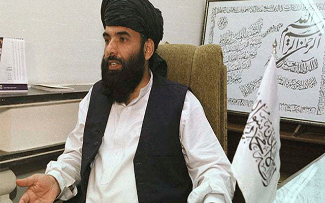 افغان طالبان ملک پر اکیلے حکومت نہیں کرنا چاہتے ہیں : نمائندہ مذاکراتی وفد 