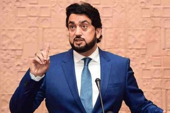 حکومت کا بغاوت کے درج مقدمات سے کوئی تعلق نہیں، شہریار آفریدی