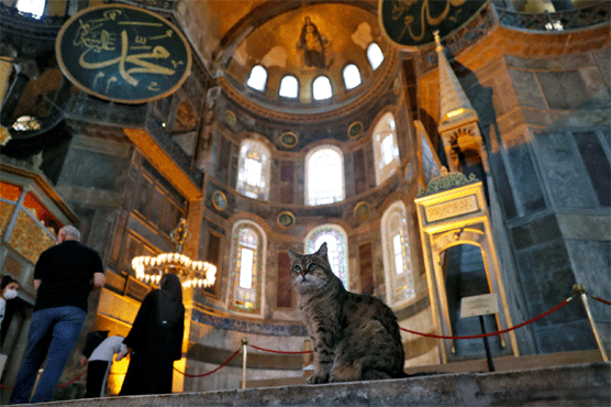 Turkey's Grand Mosque Hagia Sophia's famous 