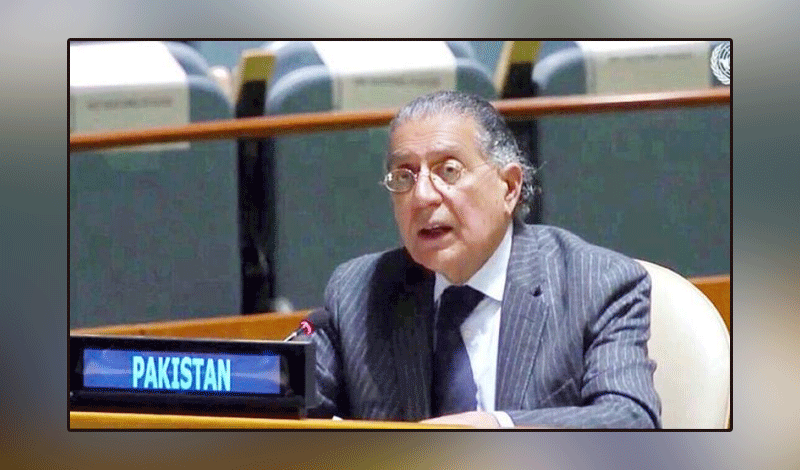 The question of Palestine is one of the issues to be resolved at the United Nations: Pakistani Ambassador Munir Akram