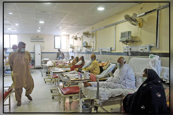 The global epidemic in Pakistan is escalating to dangerous levels, killing 89 more people