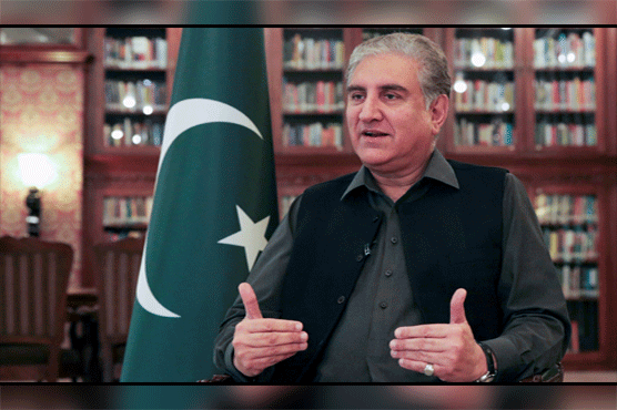 Opposition seeks to undermine system: Foreign Minister Shah Mehmood Qureshi