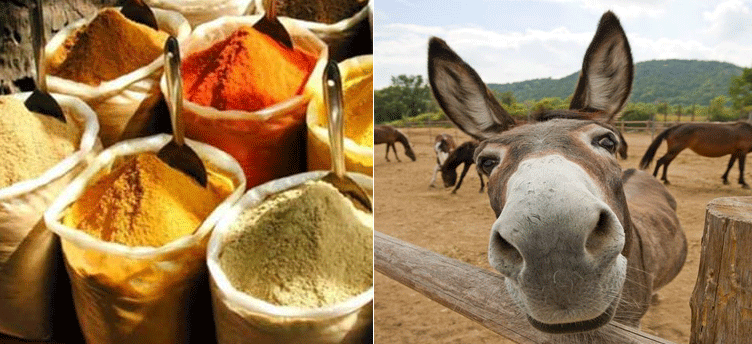 Factory Busted For Making Fake Spices Using Acid, Donkey Dung