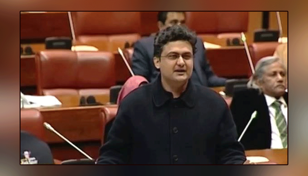 The government is ready for political dialogue from day one: Senator Faisal Javed
